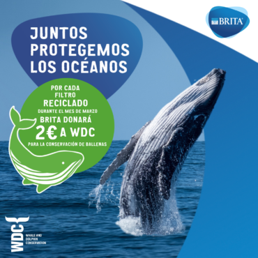 Serratella ayuda a la conservación de ballenas y delfines
