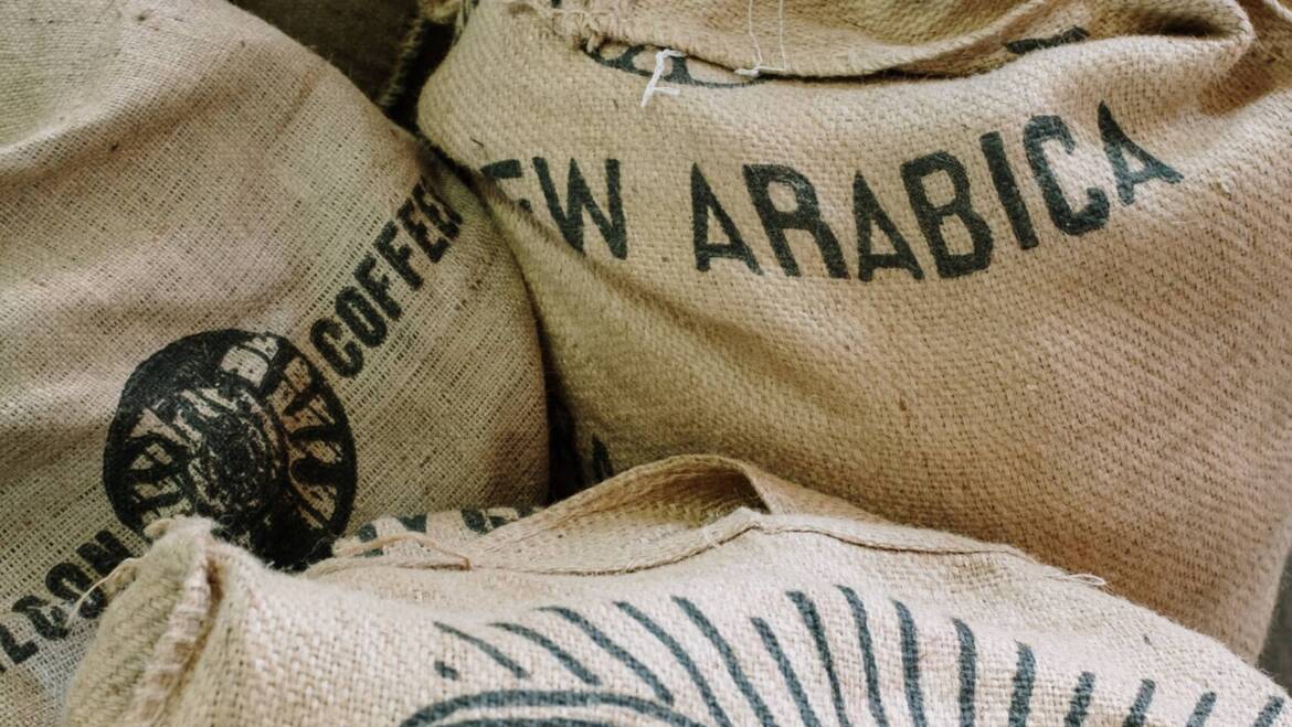 ¿Sabes cómo se exporta el café? (I)